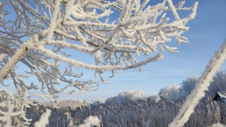 На этой неделе в Саратовской области похолодает до -30°