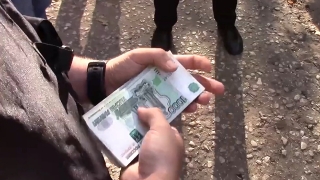 Экс-сотрудник ГИБДД получил 2 года колонии за взятку от водителя без прав