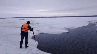 В Вольске вторую неделю ищут утонувших маленьких братьев