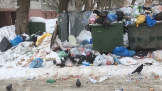 Жители еще одной многоэтажки в Саратове жалуются на вывоз мусора