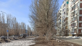 "Т Плюс" высадит новые деревья в 7-м микрорайоне