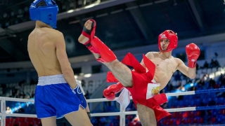 Саратовский кикбоксер выиграл "серебро" Кубка России