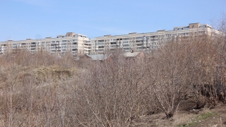 Саратовцев ждет теплая среда