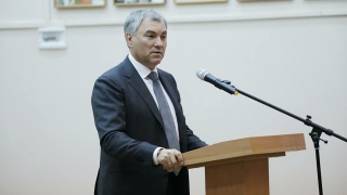 Вячеслав Володин поручил проверить деятельность Татьяны Загородней