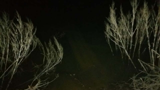 Тело ушедшей из дома родственницы нашли в реке