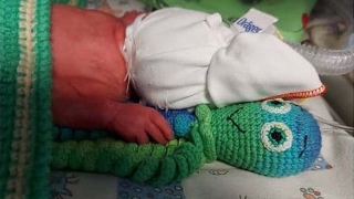 К младенцам из Саратовского перинатального центра прибыли осьминожки