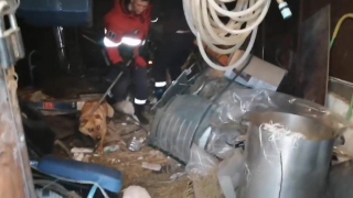 Спасатели помогли саратовцу достать собаку из погреба
