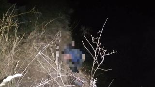 Пропавшего три дня назад саратовца нашли мертвым в озере