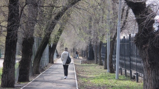 Саратовцев ждет теплая суббота с небольшим дождем