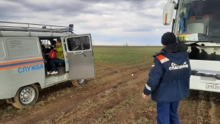 Тюльпанные степи. В Саратовской области в грязи застрял автобус с туристами
