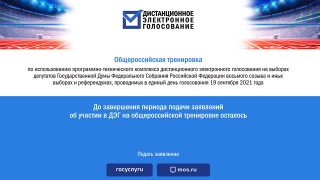 Саратовцам предлагается протестировать дистанционное голосование