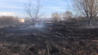 Под Саратовом горели постройки и камыш. Возникла угроза перехода огня на СНТ