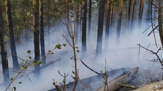 В Хвалынском национальном парке горит лес