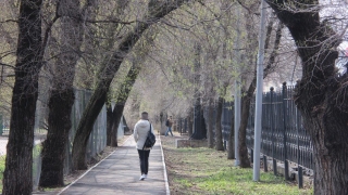 Саратовцев ждет пасмурная и теплая пятница