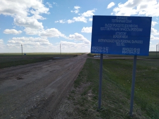 В Казахстан не дали вывезти 20 тонн свежей моркови
