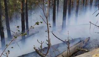 В Саратовской области за сутки произошло 22 ландшафтных пожара