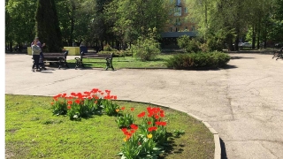 Праздничное воскресенье будет пасмурным и теплым