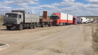 Пограничники призвали перевозчиков оборудовать "технологические проходы"