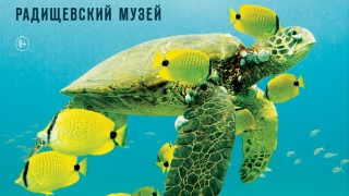 Радищевский музей покажет саратовцам "100 чудес света"