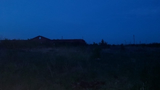Жители Энгельса нашли человеческие кости