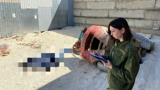 При разгрузке шифера сотрудника магазина насмерть придавило погрузчиком