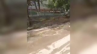 "Никому нет дела". Саратовец пожаловался на потоп у здания школы