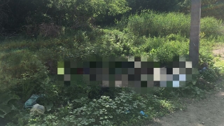 Прохожий нашел на обочине труп с разбитой головой