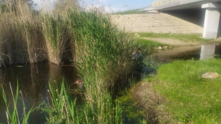 В реке Курдюм обнаружено тело мужчины