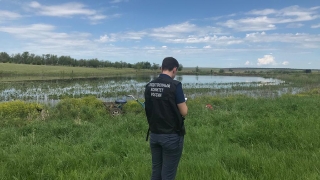 В Саратовской области пастух утонул вместе с лошадью