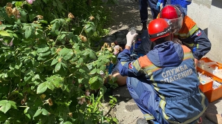В центре Саратова альпинист сорвался с шестого этажа