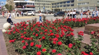Саратовцам обещают жаркие выходные без дождей