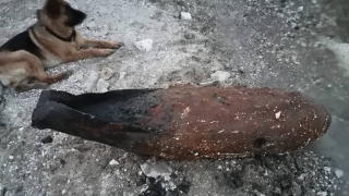 Дайвер нашел в Волге авиационную бомбу времен Великой Отечественной