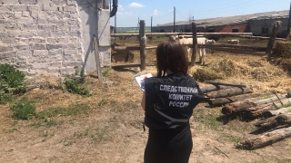 Сельчанин изнасиловал коллегу и душил ее веревкой