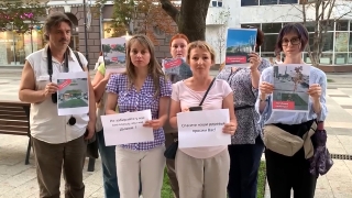 Активисты просят Владимира Путина защитить Саратов от вырубки деревьев