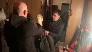 Туляк убил жителя Саратова через два дня после освобождения из колонии