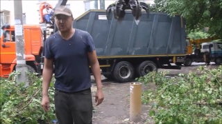Вырубка деревьев в центре Саратова. Рабочие напали на владелицу авто и журналиста