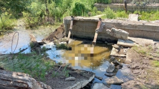 Пастух нашел в небольшом водоеме труп мужчины