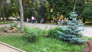 Синоптики обещают саратовцам еще один жаркий день