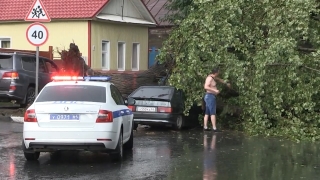 Ливень. Дерево придавило автомобили и блокировало движение в центре Саратова