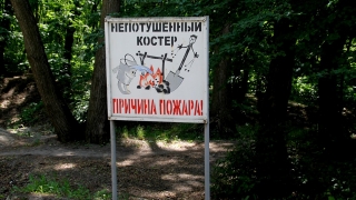 Саратовцам продлили запрет на посещение лесов