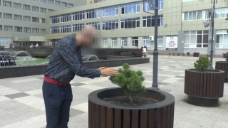 "Хотел посадить на берегу Волги": саратовец признался в краже сосен с проспекта Кирова
