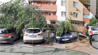 "Апокалипсис": жители Саратова делятся впечатлениями о ночном шторме