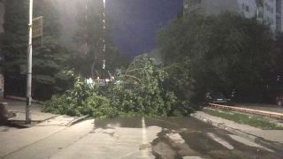 Ураган в Саратовской области. Более 12 тысяч домов остались без электричества