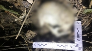 В овраге под мостом в Саратове нашли человеческий череп с паспортом