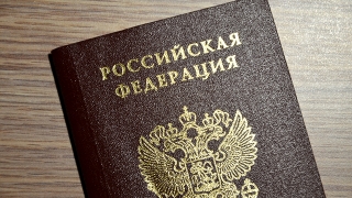 Президент удовлетворил прошение жительницы Саратова и ее детей о выходе из гражданства РФ