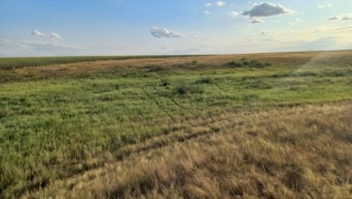 Саратовец 17 дней назад ушел на работу. Его труп нашли в поле