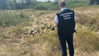 В окрестностях балаковского села пастух нашел человеческие кости