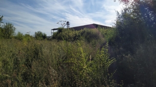 За складами найдено тело пропавшего неделю назад саратовца