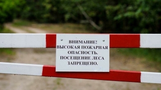 Саратовцам вновь продлили запрет на посещение лесов