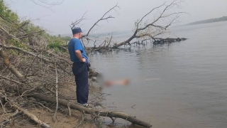 Утопленника смогли найти в Волге только на следующий день